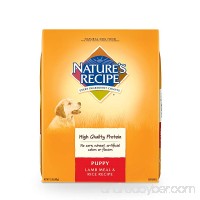 Nature's Recipe Dry Puppy Food - B0035FVGLO