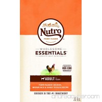 Nutro WHOLESOME ESSENTIALS Adult Dry Dog Food - Chicken  Brown Rice & Sweet Potato - B00TZGAB36