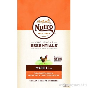 Nutro WHOLESOME ESSENTIALS Adult Dry Dog Food - Chicken Brown Rice & Sweet Potato - B00TZGAB36