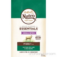 Nutro WHOLESOME ESSENTIALS Adult Dry Dog Food - Lamb & Rice - B00TQRLC6E