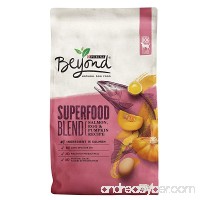 Purina Beyond Superfood Blend Salmon  Egg & Pumpkin Recipe Adult Dry Dog Food - B00JVHSPHI