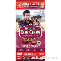 Purina Dog Chow Tender & Crunchy with Real Lamb Adult Dry Dog Food - B0777T7MSK