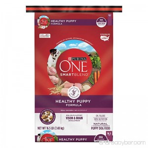 Purina ONE SmartBlend Healthy Puppy Dry Dog Food - B0094RW6ZC
