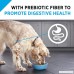 Purina Pro Plan Focus Sensitive Skin & Stomach Lamb & Oat Meal Formula Adult Dry Dog Food - B01EY9KQ1U