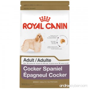 ROYAL CANIN BREED HEALTH NUTRITION Cocker Spaniel Adult dry dog food - B003AO5DLO