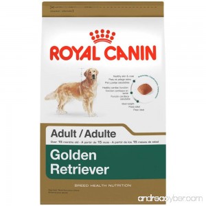 Royal Canin BREED HEALTH NUTRITION Golden Retriever Adult dry dog food - B0033XQF8C