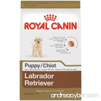 Royal Canin Breed Health Nutrition Labrador Retriever Puppy Dry Dog Food - B003M5ZKD2