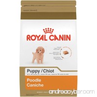 Royal Canin BREED HEALTH NUTRITION Poodle Puppy dry dog food  2.5-Pound - B00JN9LSN2