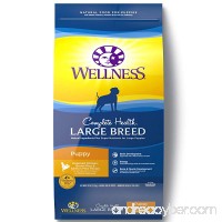Wellness Complete Health Natural Dry Large Breed Puppy Food  Chicken  Salmon & Rice - B001J8LGEG