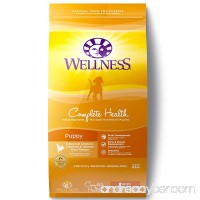 Wellness Complete Health Natural Dry Puppy Food  Chicken  Salmon & Oatmeal - B0002I0GXG