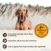 Wellness Core RawRev Natural Grain Free Dry Dog Food - B06W2NHQG9