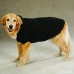 Zack & Zoey Fleece-Lined Hoodie for Dogs 12 Small Black - B0040DQM5A