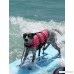 Astage Pet Supplies Doggy Lifejackets Swimming Support For Dog - B07514KMC3
