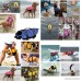 Dog Swimming Life Jacket Reflective Saver Preserver Floatation Vest Float Coat - B06XF37LHN