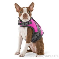 Good2Go Pink Dog Flotation Vest - B0169ITQ38