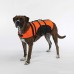 Guardian Gear Aquatic Dog Preserver - B001AVYDZ6