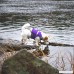 Hurtta Life Savior Dog Life Vest/Jacket Lupine 10-20 lbs - B079VPG14D