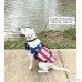 KING Pup Dog Life Jacket - American Flag Life Vest for Puppies and Dogs. Safe and Secure with Extra Padding and American Flag Design - B073PFZFRV