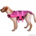 MORYSONG Dog Life Jackets Pet Life Vest Swimming Life Jacket for Dogs Adjustable Dog Lifesaver Ripstop Life Jackets with Buoyancy Floatation Vest At The Beach Pool Boating - B07C238NDT