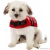 Paws Aboard Red Neoprene Life Jacket Dog or Cat Life Preserver (XXSmall 2-6 Lbs) - B00D7LBKTE