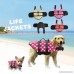 Pet Life Swimming Jacket Reflective Dog Prevent Loss Adjustable Saver Ruffwer Carrier Preserver Shark Vest - B07BHK9QQW