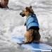 Running Pet Dog Life Vest Pet Life Jacket Pet Water Vests Dog Floatation Life Preserver Coat Life Jacket for Many Size Dogs - B07D8TMSBY