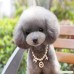 Hongxin Pet Necklace Collar Fashion Pearl Collar Pet Jewelry Grooming Costume Accessories - B0763GRTH1