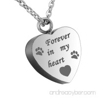 HooAMI Forever in my heart Pet Paw Cremation Urn Necklace - B01IVP0U4G