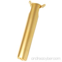 Memorial Gallery MG-3155gp Slim Slide Cylinder 14K Gold/Sterling Silver Plating Cremation Pet Jewelry - B01EWHMCMU