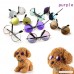 Stock Show Funny Cute Dog Cat Retro Fashion Sunglasses Glasses Transparent Eye-wear Protection Puppy Cat Teacher Bachelor Cosplay Glasses Pet Photos Props for Small Dog Cat - B07F1HYR81