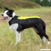 Ezer Dog Raincoat - High Visibility Waterproof Dog Raincoat Rainwear Dog Jacket for Small Medium and Large Dog. - B075WHDWNW