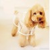 LUCKSTAR Pet Raincoat - Waterproof Dog Puppy Coat Dog Poodle Pet Transparent Raincoat Rainwear Clothes Dress (S) - B00LFGENZ6