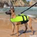 Youyixun Dog Life Jacket Dog Swimming Vest Swim Suit for Dogs Which Is Folding Inflatable and Portable-Green - B07DPSV65C