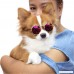 cool style retro sunglasses for small dogs and cats.[Multi-colors and colors can't be selected] - B0768X8JK9