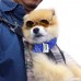 cool style retro sunglasses for small dogs and cats.[Multi-colors and colors can't be selected] - B0768X8JK9