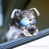 Enjoying Dog Sunglasses - Small Dog goggles UV Protection Windproof Adjustable Goggles for Doggy Puppy Cat - B07CGJW2YL
