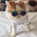 MIcion Pet Sunglasses - Cool Stylish and Fun Classic Vintage Round Metal Sunglasses That Make Cats or Small Dogs More Cute - B07D115XRG