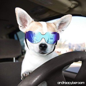 Namsan Cat Sunglasses - Dog Goggles Dog Sunglasses for Small Dogs and Cats - B07CGLDFKV