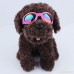 QZBAOSHU Fashion Pet Sunglasses Dogs Cats Sunscreen Windbreak Eye Sunglasses - B01LNC698K
