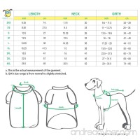 Basic Turtleneck Sweater - B075Y2JDG2