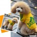 FuzzyGreen Christmas Hoodies For Dogs Apparel Hoodie Clothes Sweater Warm T Shirt Jumpsuit Little Small Girl Boy Dogs - B00NW4SYZE