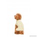 Golden Paw Knitted Jumper Dog Sweater Dog Apparel Warm Dog Clothes - B077N4PNGR