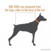 Back on Track Therapeutic Dog Mesh Rug 37cm Back Length - B00JF2QUFS