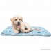 OFPUPPY Small Puppy Cat Blanket Cute Fannel Fleece 100% Soft Polyester for Little Pets and Dogs - B07CHB9BMF