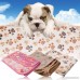 Topbeu Warm Pet Mat Small Large Paw Print Cat Dog Puppy Fleece Soft Blanket Bed Cushion - B01J3PHHU8