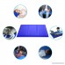 isYoung Cooling Mat Pressure Activated Chilly Dog Cat Bed Gel Mat Blue - Best For Keeping Pets Cool (35.4 x 19.7inches) - B07DQQCWV4