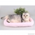Pet Bed Legendog Washable Plush Pet Bolster Bed for Car Home Pet Cushion with Edge - B0756FK7DK