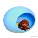 WuKong Pet Egg Shaped Dog Cat House - B071RDQ1S1