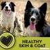AvoDerm Natural Dog Food for Rotational Feeding Food Intolerance and Sensitivities - B007CGL892