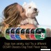 Cesar Gourmet Wet Dog Food Variety Packs - 36 Trays - B0757NV5D5
